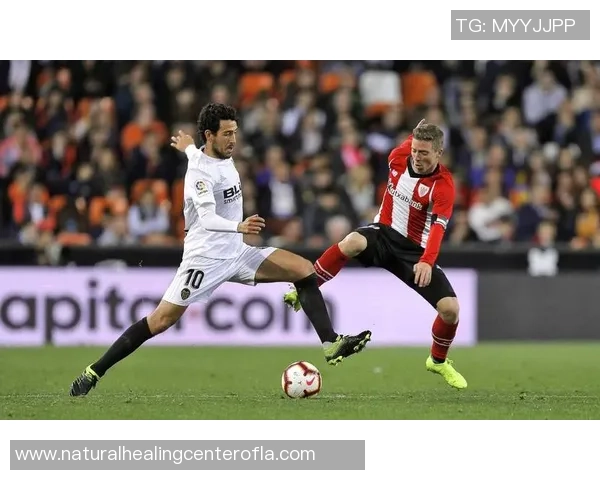 周一006意甲赛事分析:萨索洛对阵比萨的精准比分预测与专家解读